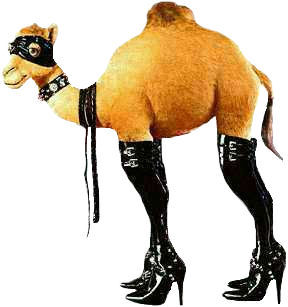 Sexy Joe Camel